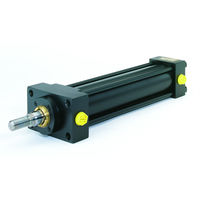 Parker 200.0DDHMIRN34MC700.000M1100 Hydraulic cylinder