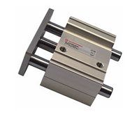 M/61050/W2R/100 Führungs- und Stopperzylinder Ø50mm Hub100mm